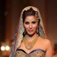 Sophie Choudry - IBFW 2013 Day 5 Photos | Picture 660768