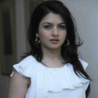 Bhagyashree Patwardhan - Announcement of Domestic Abuse and Battered Women Responsibility Event Photos