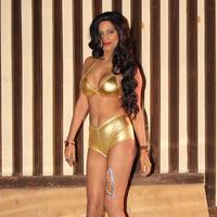 Poonam Pandey - The Party of film What The Fish Photos | Picture 670953