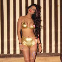 Poonam Pandey - The Party of film What The Fish Photos | Picture 670954
