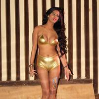 Poonam Pandey - The Party of film What The Fish Photos | Picture 670955