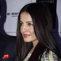 Celina Jaitly - 3rd Edition of India Resort Wear Fashion Week 2013 Day 1 Photos | Picture 673821