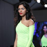 3rd Edition of India Resort Wear Fashion Week 2013 Day 1 Photos