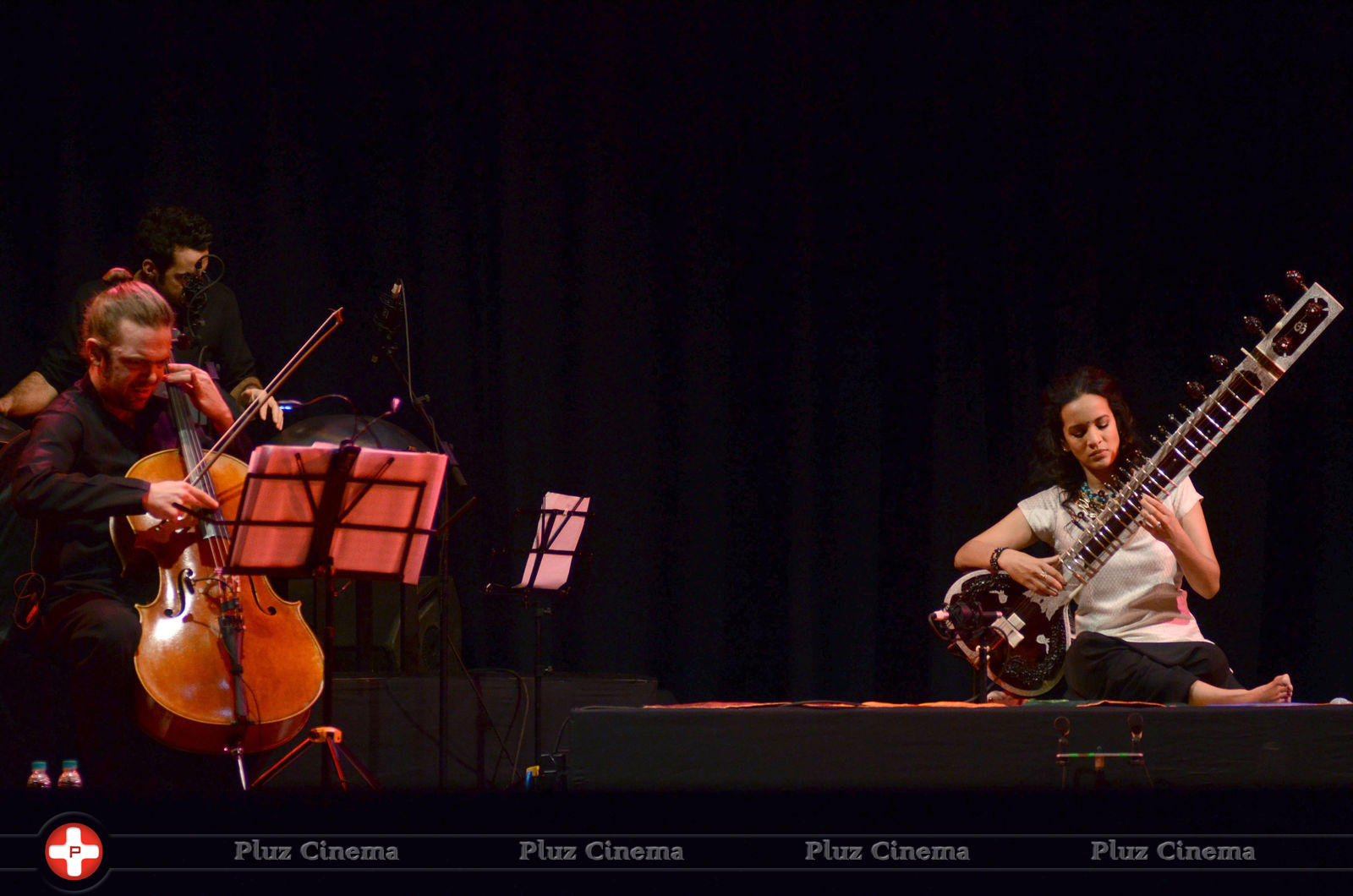 Anoushka Shankar (Musician) - Anoushka Shankar at Traces of You Concert Photos | Picture 674128