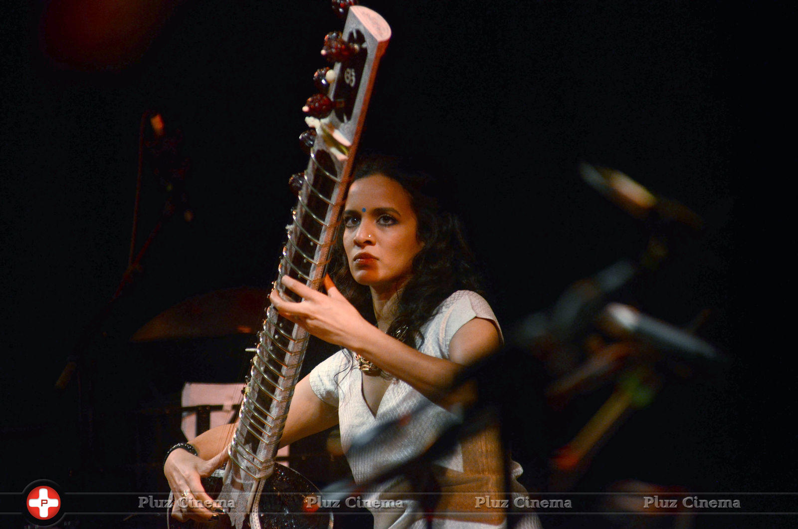 Anoushka Shankar (Musician) - Anoushka Shankar at Traces of You Concert Photos | Picture 674132