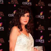 Anita Advani - Colors Tv 3rd Golden Petal Awards Photos