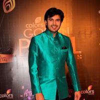 Ajay Chaudhary - Colors Tv 3rd Golden Petal Awards Photos