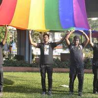 Protest against Supreme Court verdict Criminalising gay sex Photos | Picture 680713