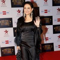 Alisha Chinai - Big Star Entertainment Awards 2013 Photos