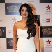 Mahi Gill - Big Star Entertainment Awards 2013 Photos