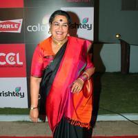 Usha Uthup - Celebrity Cricket League 4 Photos