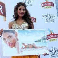 Nicole Faria - Launch of Kingfisher Calendar 2014 Photos