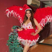 Tanisha Singh - Tanisha Singh Photo Shoot for Christmas