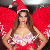 Tanisha Singh - Tanisha Singh Photo Shoot for Christmas