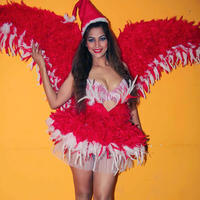 Tanisha Singh - Tanisha Singh Photo Shoot for Christmas | Picture 685657