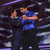 New Year cake cutting on the set of Nach Baliye 6 Photos | Picture 688958