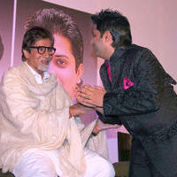 Amitabh bachchan Launches Ghazal Album Destiny Photos