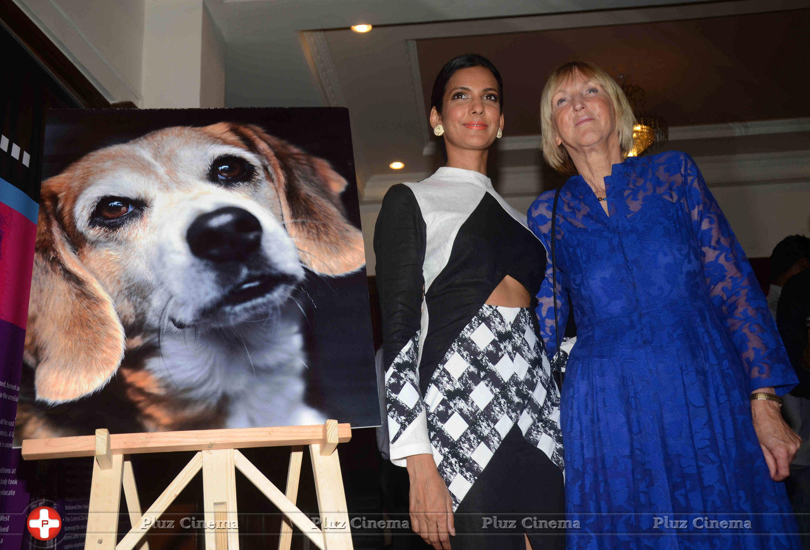 Poorna Jagannathan at PETA Fundraiser Event Photos | Picture 629410