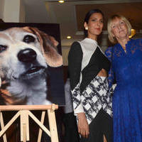 Poorna Jagannathan at PETA Fundraiser Event Photos