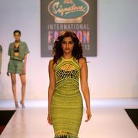 Sonam Kapoor Ahuja - Signature International Fashion Week End Photos | Picture 639860
