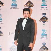 Anirudh Dave - Zee Rishtey Awards 2013 Photos