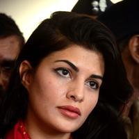 Jacqueline Fernandez - Jacqueline Fernandez meets Mayor for ban on Horse Drawn Victorian Carriages Stills