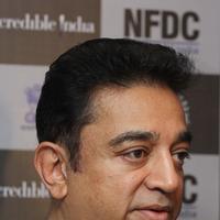 Kamal Haasan - NFDC Film Bazaar 2013 Day 2 Photos | Picture 648571