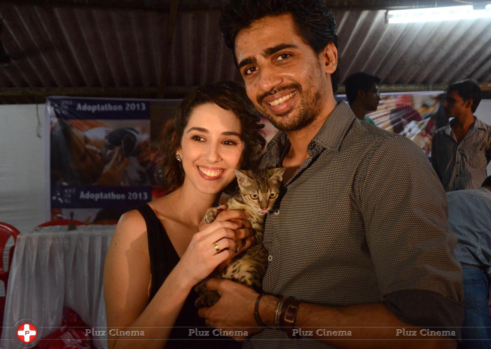 Celebrities attends Pet Adoption 2013 Photos | Picture 651236