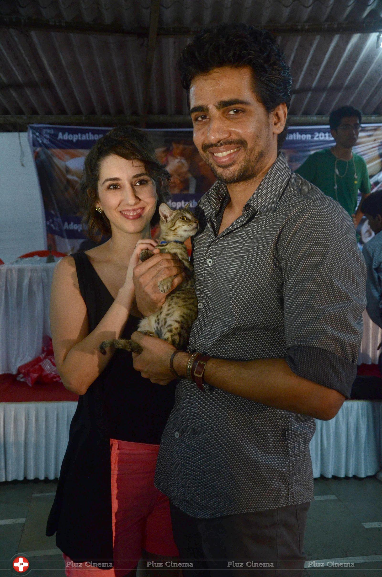 Celebrities attends Pet Adoption 2013 Photos | Picture 651239
