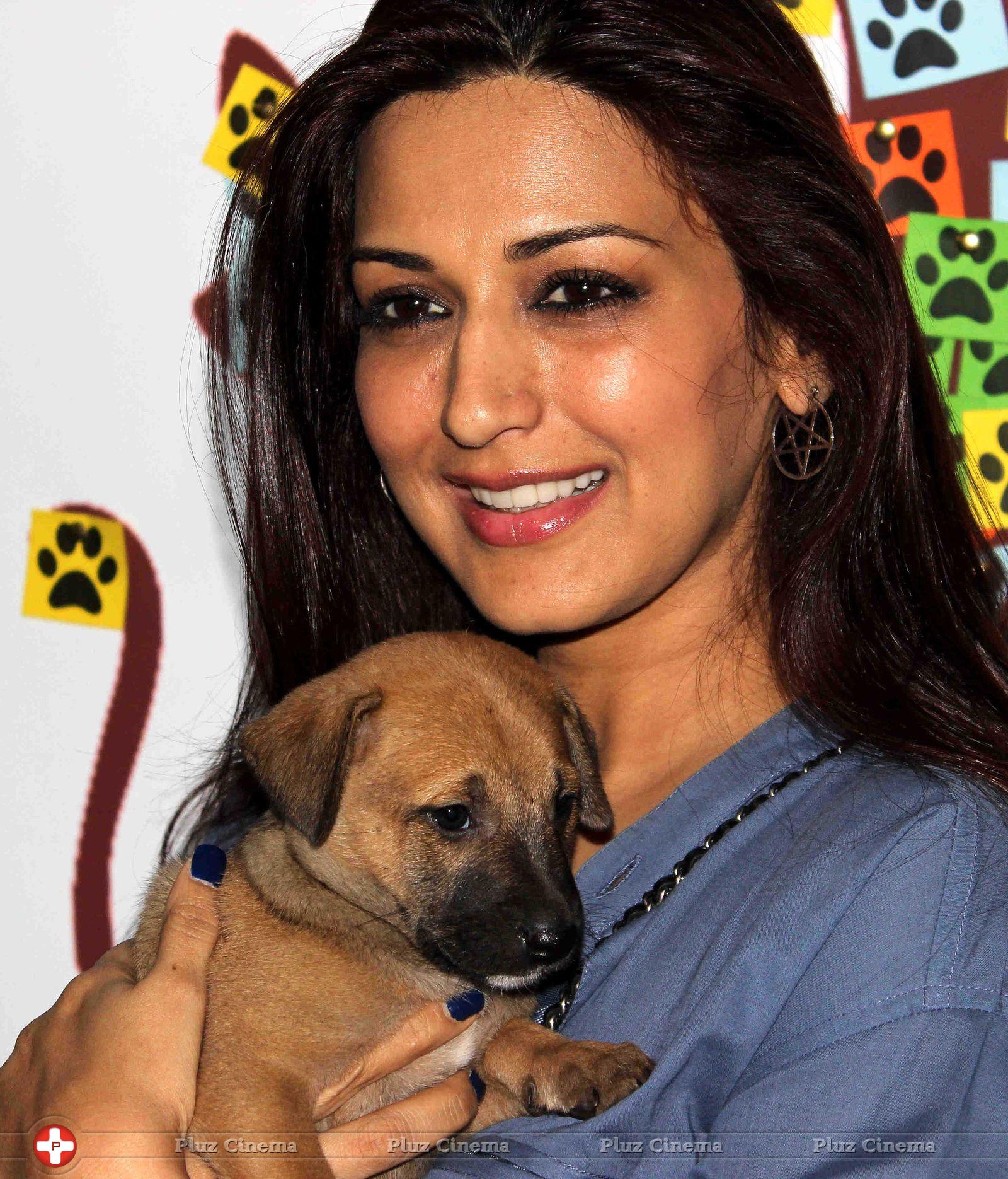 Sonali Bendre - Celebrities attends Pet Adoption 2013 Photos | Picture 651397