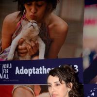 Celebrities attends Pet Adoption 2013 Photos | Picture 651221