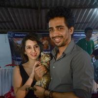 Celebrities attends Pet Adoption 2013 Photos