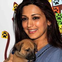 Sonali Bendre - Celebrities attends Pet Adoption 2013 Photos