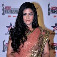 Riya Sen - Vivel Filmfare Awards East Stills | Picture 737226