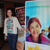 Dia Mirza - Screening of Marathi film Yellow Stills