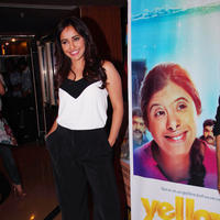 Neha Sharma - Screening of Marathi film Yellow Stills