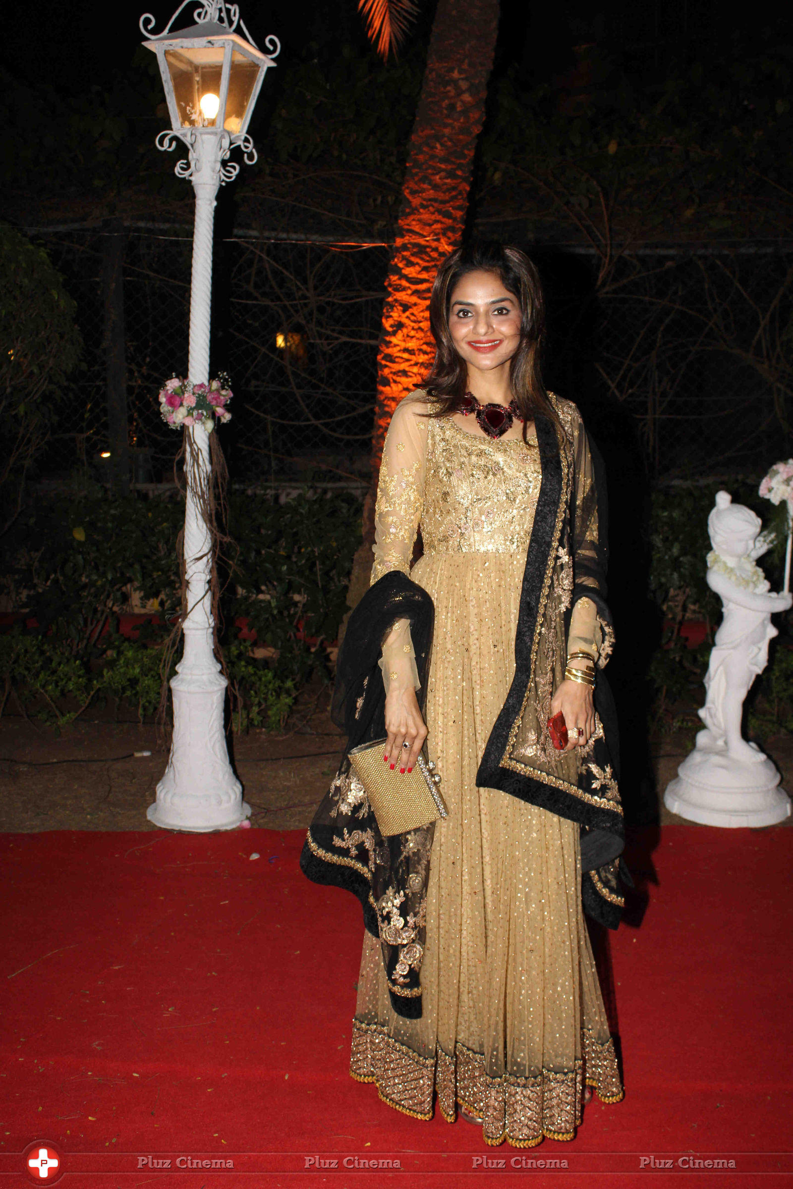 Madhoo - Celebrities at Ahana Deol and Vaibhav Vora Wedding Reception Photos | Picture 707062