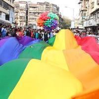 Anushka Manchanda at Gay protest against Supreme Court verdict Photos