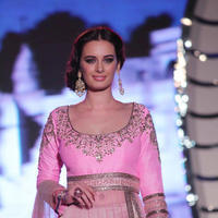 Evelyn Sharma - 2nd anniversary of campaign Save & Empower the Girl Photos