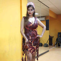 Tanisha Singh photo shoot wearing real goat meat dress Photos | Picture 709332