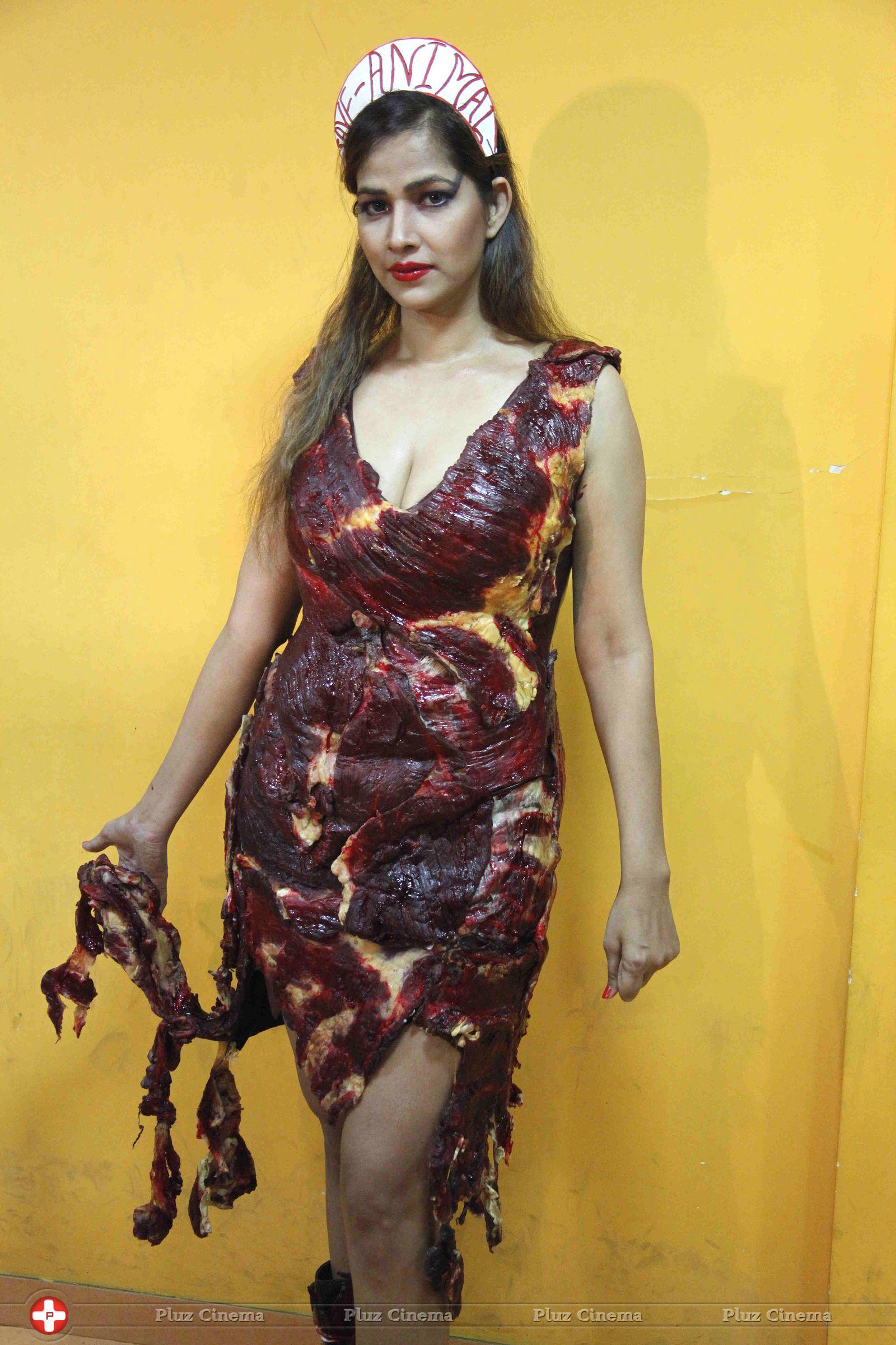 Tanisha Singh photo shoot wearing real goat meat dress Photos | Picture 709325