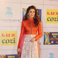 Sonali Bendre - Zee Cine Awards 2014 Photos