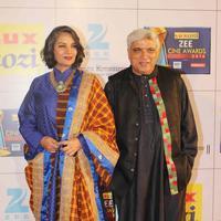 Zee Cine Awards 2014 Photos | Picture 710918