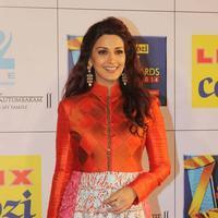 Sonali Bendre - Zee Cine Awards 2014 Photos