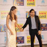 Zee Cine Awards 2014 Photos | Picture 710931