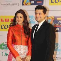 Zee Cine Awards 2014 Photos | Picture 710934