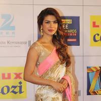 Priyanka Chopra - Zee Cine Awards 2014 Photos | Picture 710937