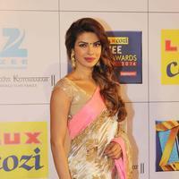 Priyanka Chopra - Zee Cine Awards 2014 Photos | Picture 710943