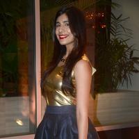 Ridhima Sood - Celebrities at Valentine's Day celebration with Moet and Chandon Photos