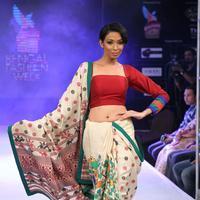 Kingfisher Ultra Bengal Fashion Week 2014 Photos